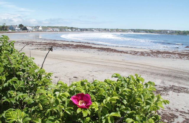 The Rhumb Line Resort