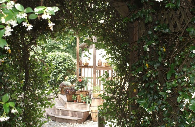 The Shebeen A small Irish cottage,come experience the enchantment and trnquility