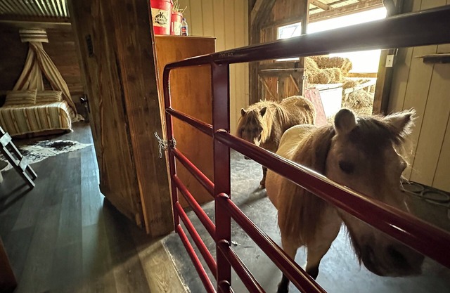The Stable- at Donkeytown, barndominium on a 40 acre guest ranch