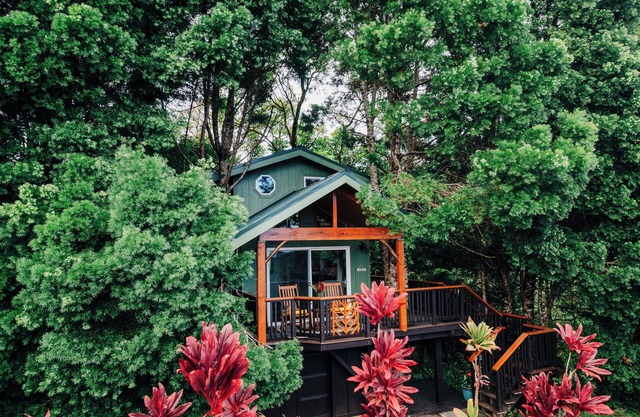 The Treehouse at Hulili Farm - NEW