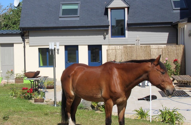 THE TRISKEL - maisonette for 4 people near the beach