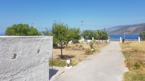 Theodora's Place