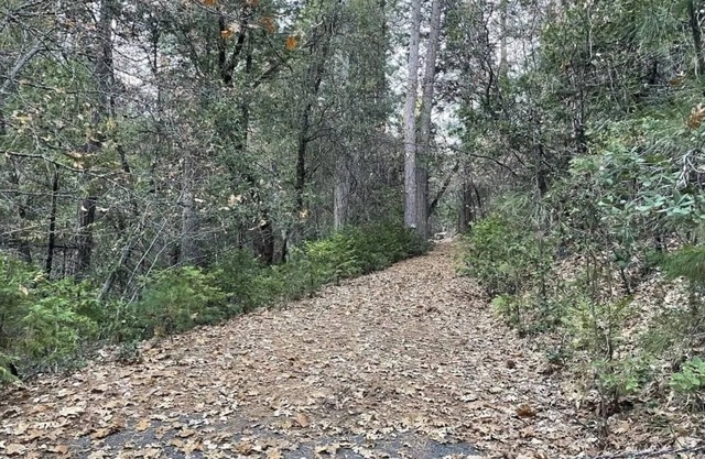 This campsite provides the ultimate outdoor experience!