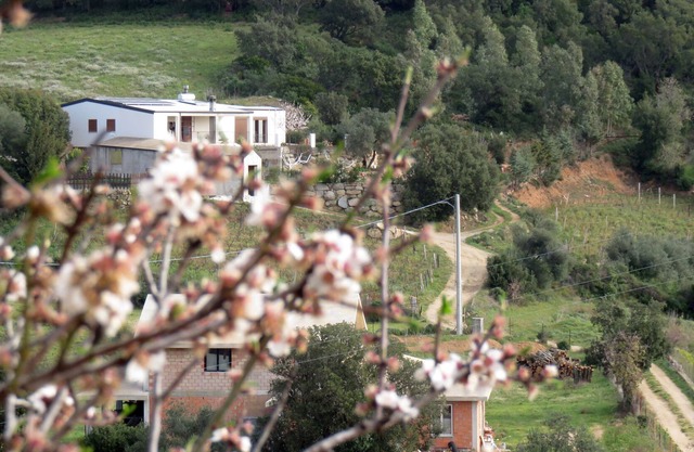 This Cozy House is Surrounded by Natural Beauties. WiFi and ADSL.