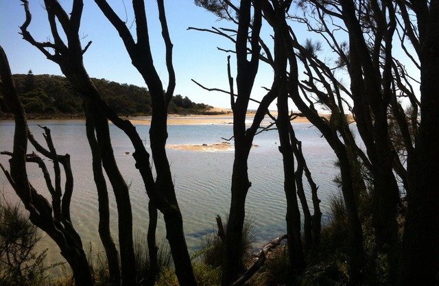 Time out at Tabourie