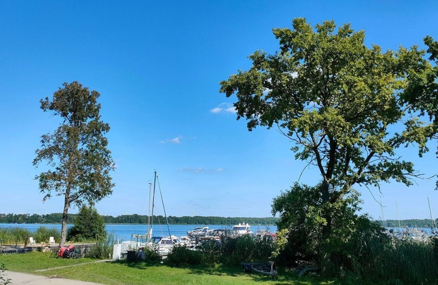 Tiny House 2 - Tiny House am See mit Kamin