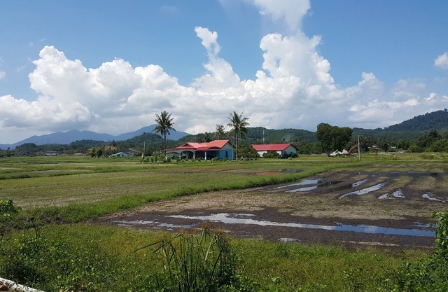 Tok Bidin Homestay Langkawi
