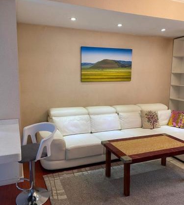 TP Central comfort Apartment 1 bedroom