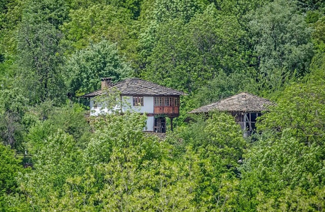 Traditional Bulgarian house with stunning mountain view