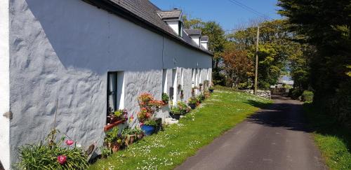 Traditional stradbally cottage