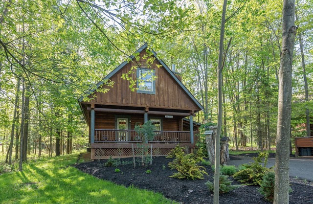Tree Haus: Lake Area, Hot Tub, Fireplace, Shuffleboard!