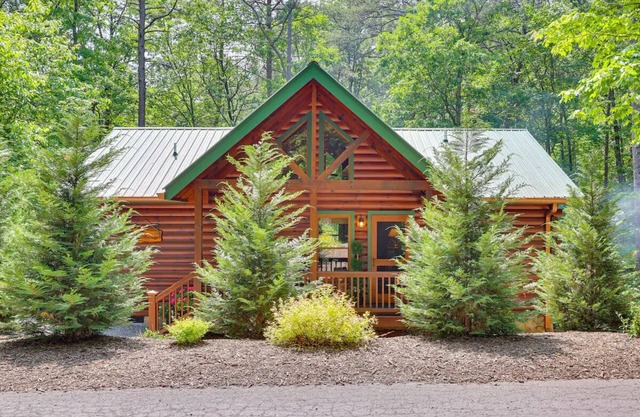 Tree Haven | Cherry Log Mountain