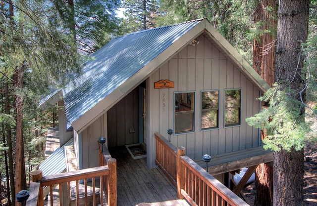 Tree House Lodge