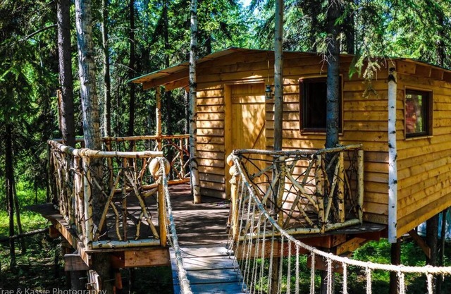 Treehouse "Indiana Jones"