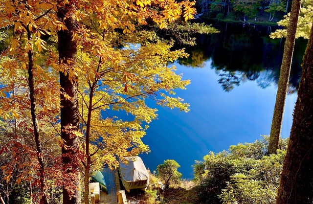 Treehouse - Luxury mountain living at the water’s edge of Hogback Lake