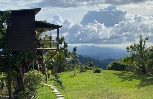Treehouse on a Coffee Farm with Ocean View