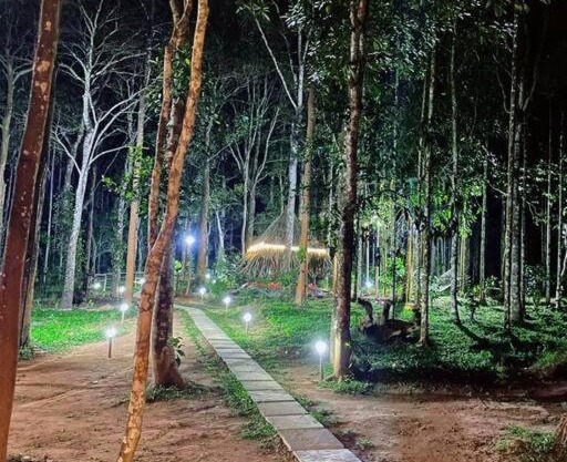 TreeSong Villa - Tranquil Forest Villa in Wayanad