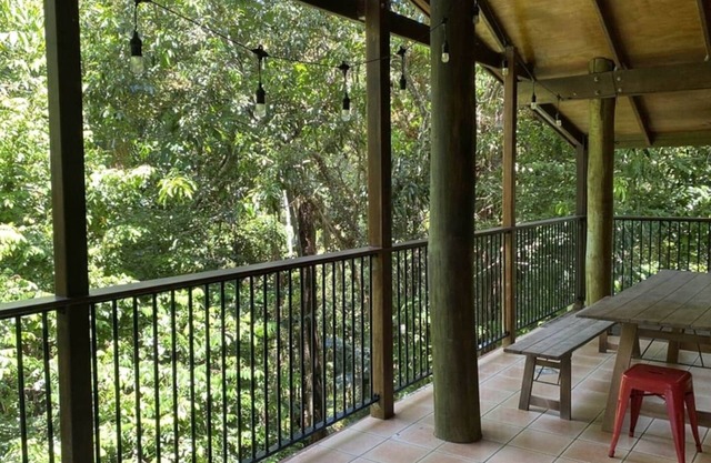 TreeTops by the Sea
