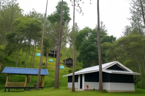 Tribu Cabin