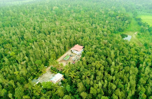 Triwoods Plantation Farm Stay