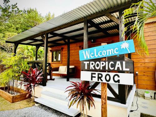 Tropical Frog