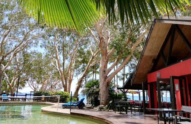 Turtle Cove Beach Resort - Adults Only LGBTQIA & Allies