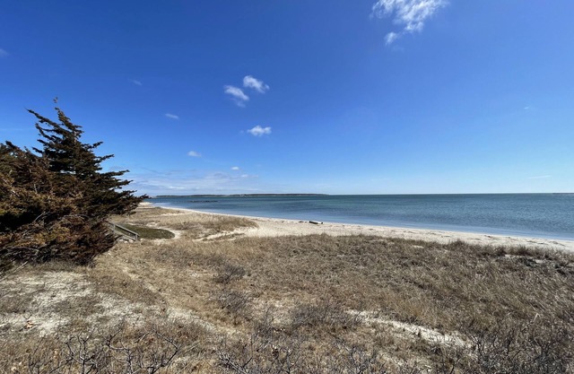 Twin Cape Cottages 🏡 Walk to Beach/Town/Ferries, Yard, Outdoor Shower!