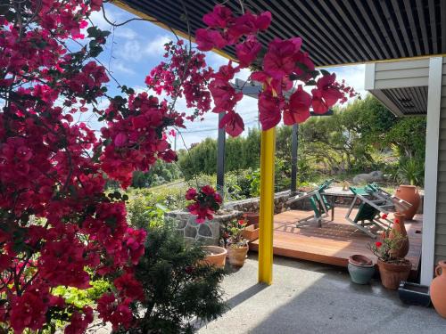 Under the Yellow Canopy