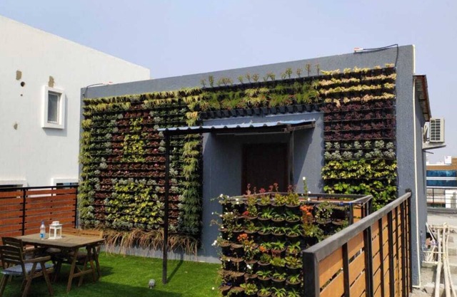 Unique Penthouse with vertical garden in heart of Gachibowli