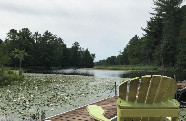 Updated Riverfront Cottage with Lake Access & StarLink, for Recreationalists!