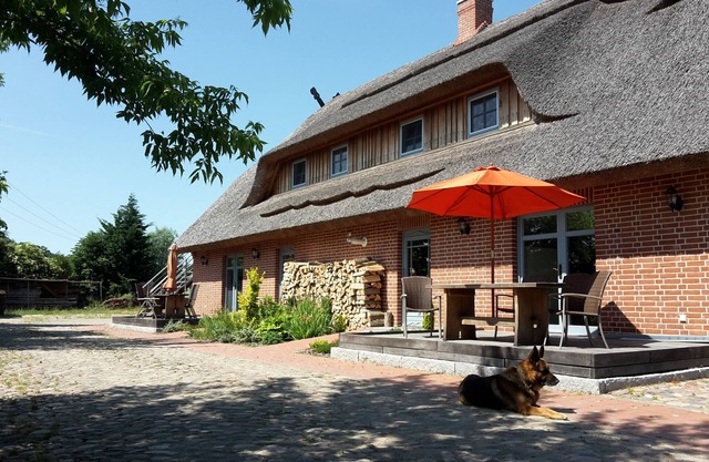 Vacation apartment/apartment for 6 guests with 150m² in Remplin (122552)