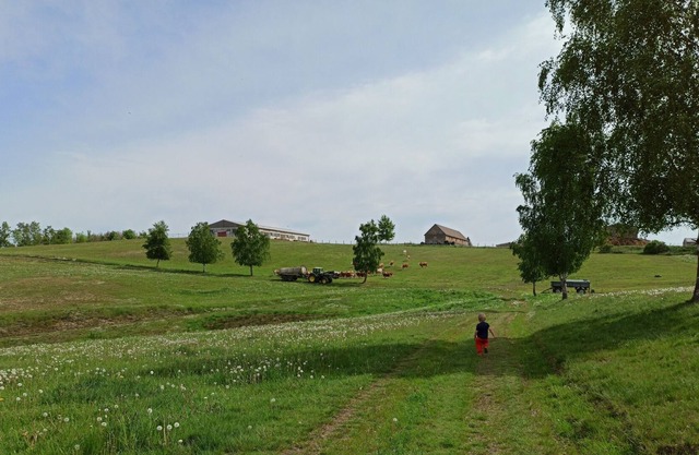 Vacation apartment/apartment for 4 guests with 70m² in Südharz (146173)