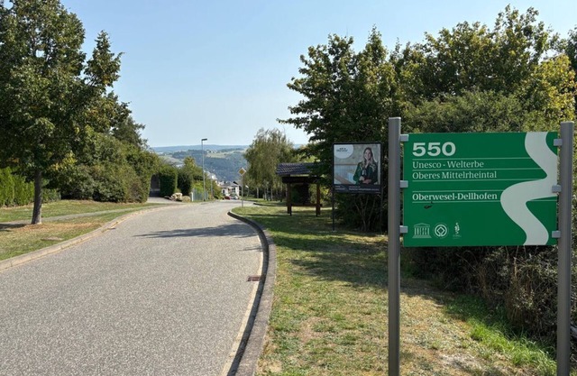Vacation apartment "Mittelrhein-550"