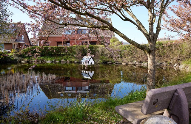 Vacation apartment/apartment for 2 guests with 40m² in Fehmarn OT Lemkenhafen (127885)