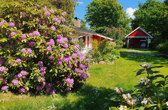 Vacation home "Strand-Haus" in Brodersby-Burg.
