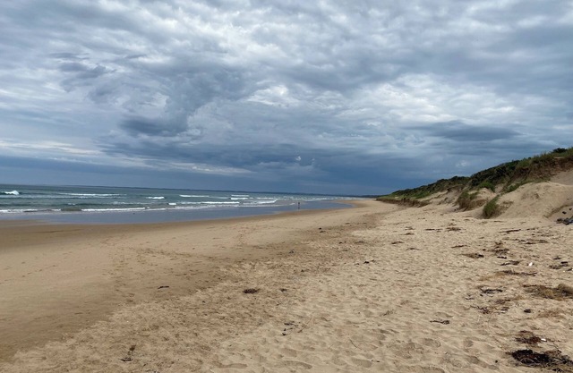 VB Getaway - Pet Friendly, Linen, Wi-fi & Netflix