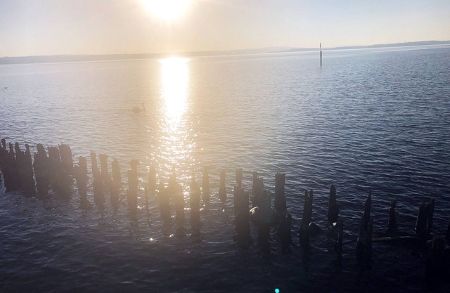 Very nice, comfortable, quiet apartment on Lake Constance 2-4 persons incl. WLAN + parking