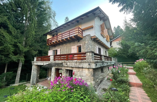Vila Titulescu - Royal Chalet