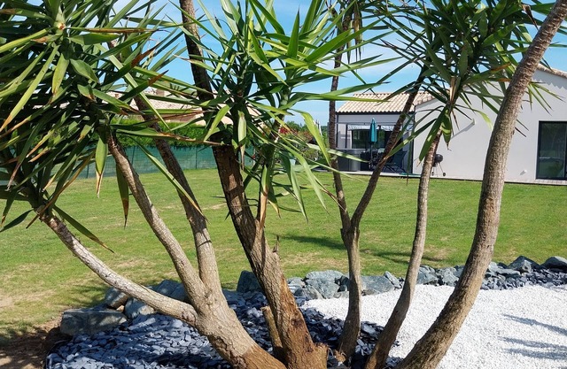 Villa 10/12 p. SWIMMING POOL, SPA & PRIVATE SAUNA 2 kms from the beach, marshes, forests