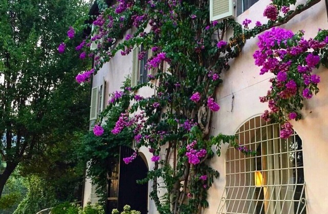 Villa Bernocco - Lovely and Romantic Villa - excellent location