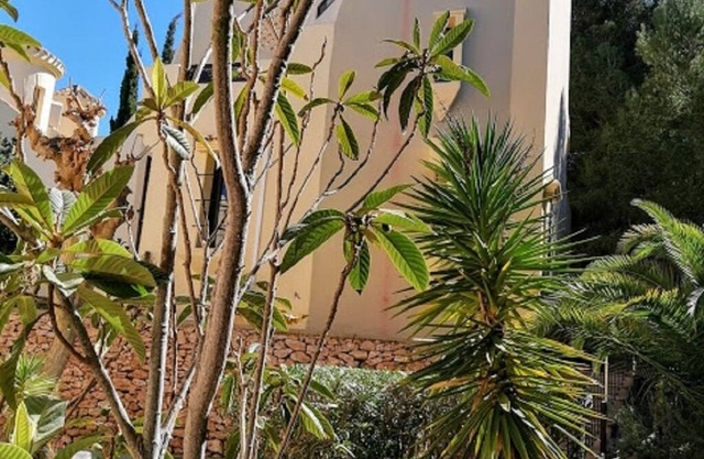 Villa Blanca - Luxury development, close to the beach, recently renovated.