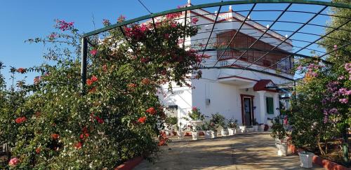 VILLA de LUXE