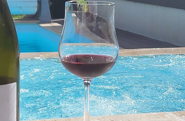 Villa Piscine view