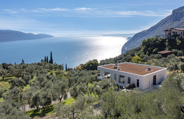 Villa in an olive grove with breathtaking lake views