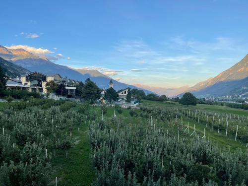 Villa Maffei