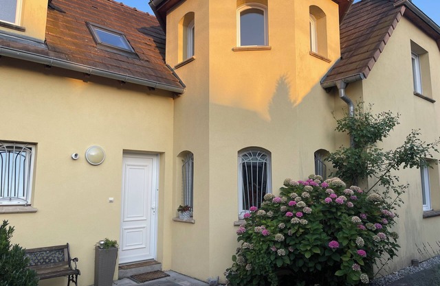Villa pool Haguenau