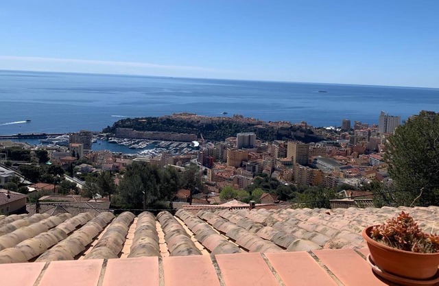 Villa Provencale VUE Monaco