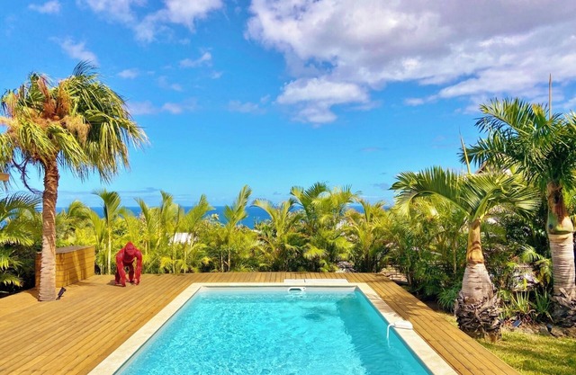 *VILLA RÊVE D'AZUR* - pool and ocean view