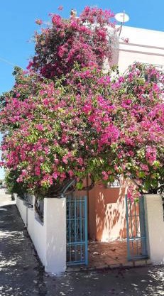 Villa Rodanthos