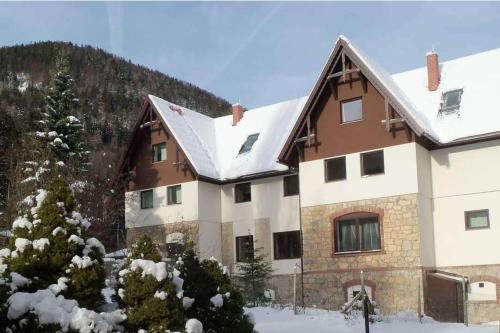 Villa Wellspacher Luxury Apartments Semmering